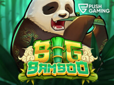 Casino free slots81